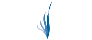 HÔTEL SPLENDID CAMARGUE